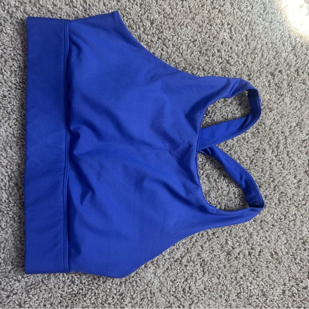 Blue Fabletics Sports Bra